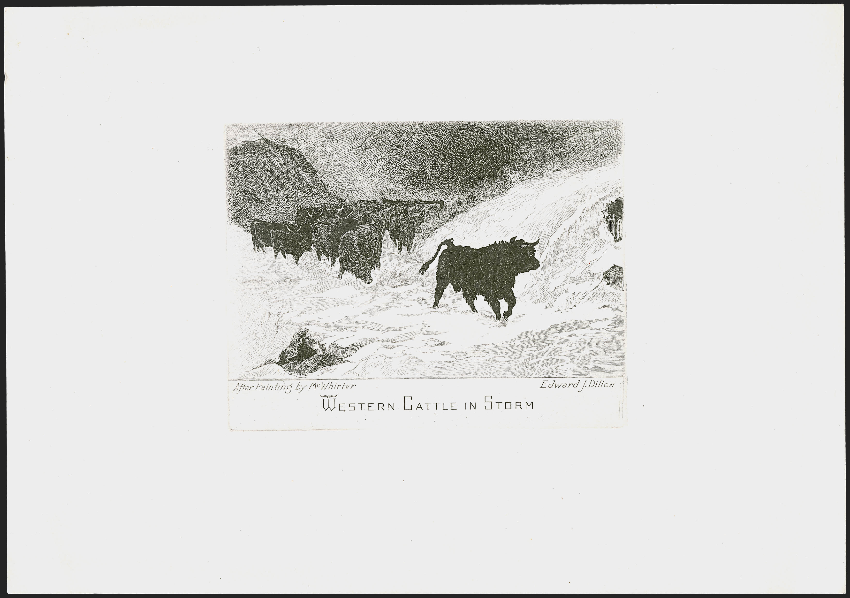 Sale no. 1254 — Lot no. 869 — Siegel Auction Galleries