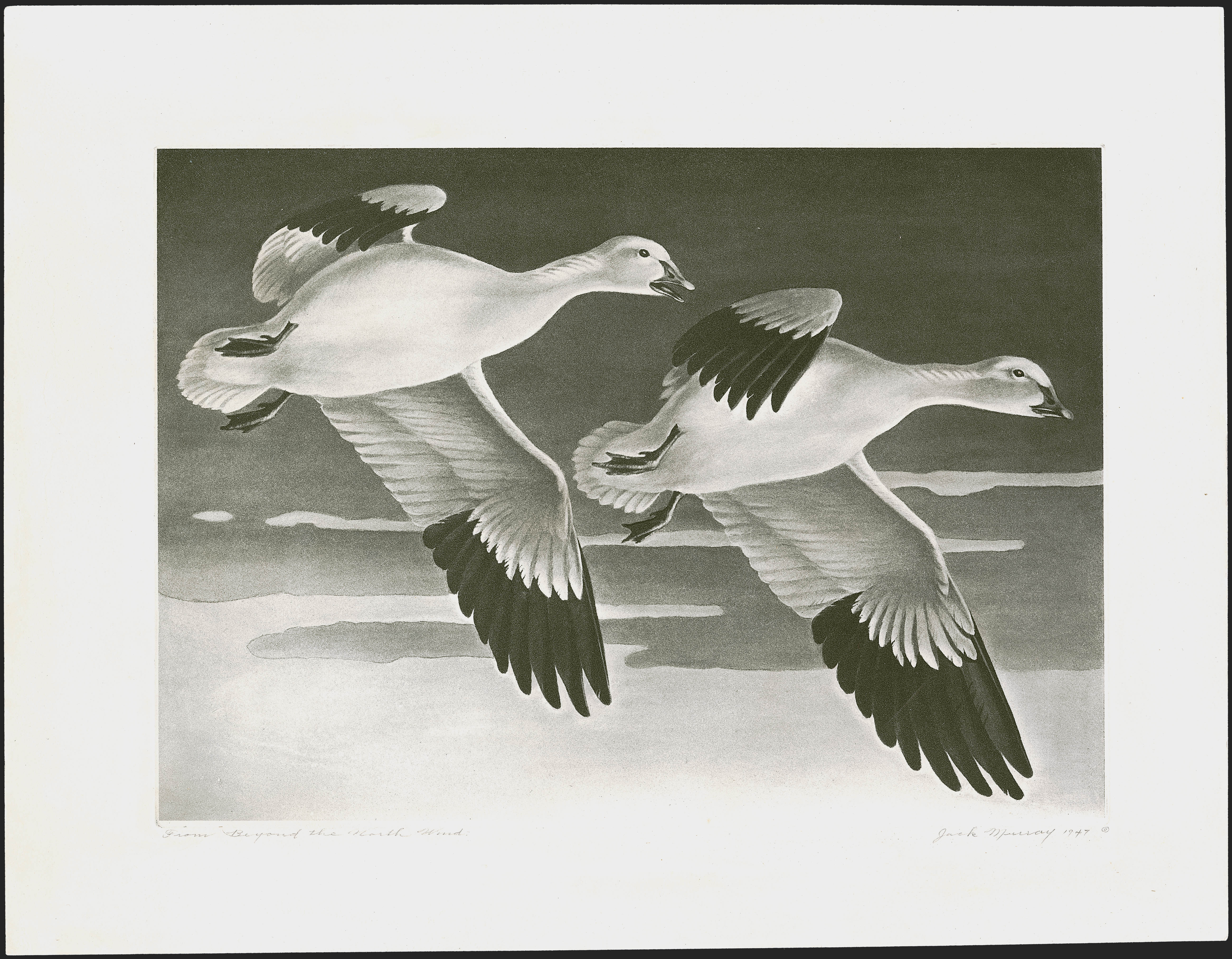 Sale no. 1258 — Lot no. 3016 — Siegel Auction Galleries