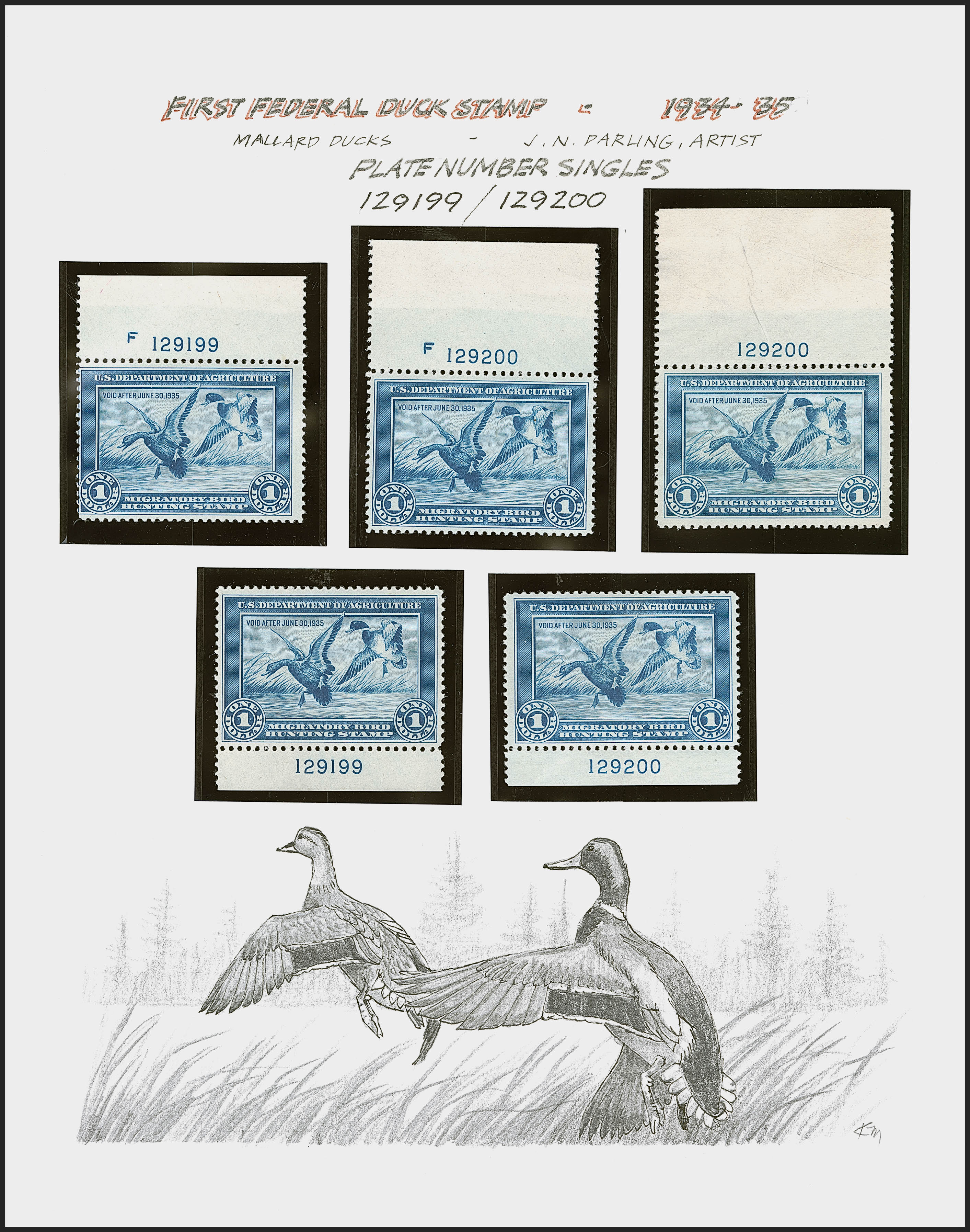 Sale no. 1258 — Lot no. 3031 — Siegel Auction Galleries
