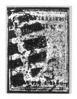 1-II-CAN-11