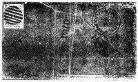 4-I-COV-195