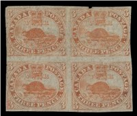 1-UNC-BL-01