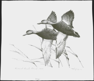 Sale 1258, Lot 3007, Duck Stamp Prints from Winning Artists, 1934-2021
