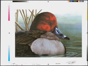 Sale 1258, Lot 3171, Junior Duck Stamps