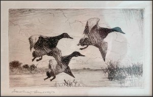 Sale 1278, Lot 4012, Hunting Permits